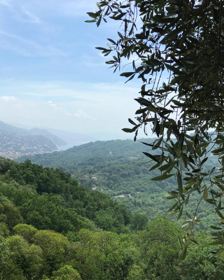 Bed and Breakfast La Riviera Bed & Breakfast Rapallo Exterior foto