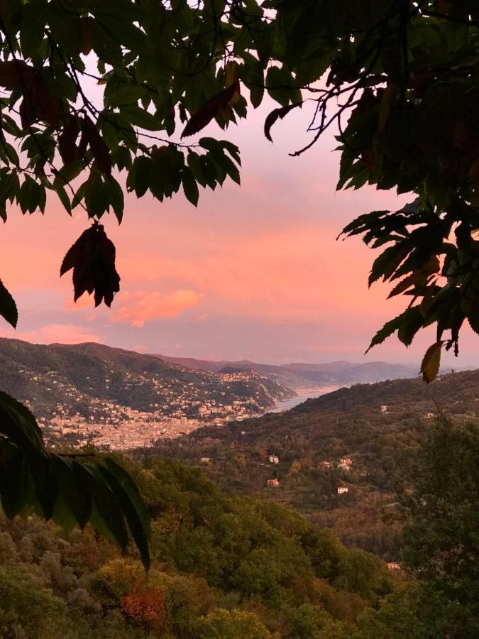 Bed and Breakfast La Riviera Bed & Breakfast Rapallo Exterior foto